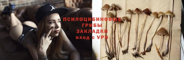 гидра Михайловск