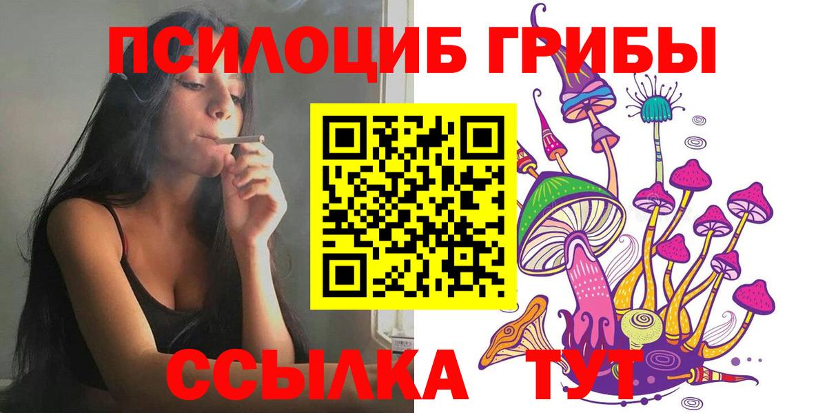 Псилоцибиновые грибы GOLDEN TEACHER Миасс