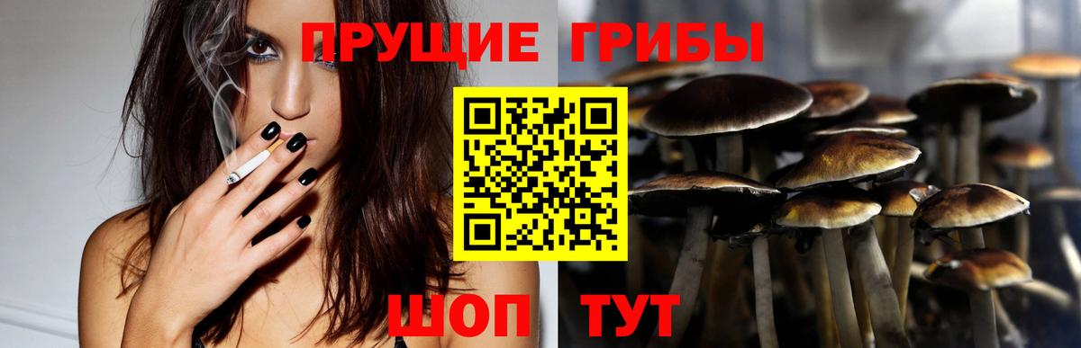 Псилоцибиновые грибы Psilocybe  Псилоцибиновые грибы Magic Shrooms  Миасс  Вход с VPN 